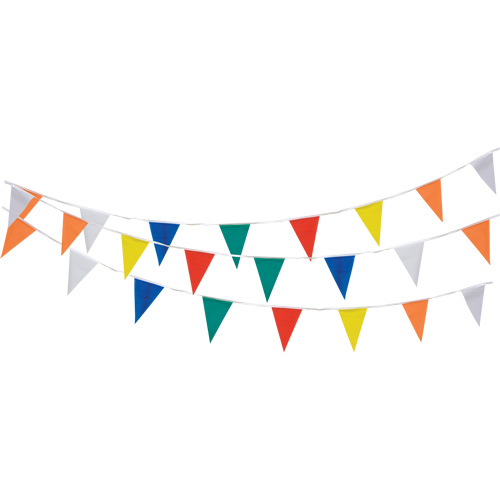 Pennant String, 60' L, Multicolour Canadian Safety Group Inc.