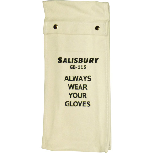 Salisbury  Glove Bag Canadian Safety Group Inc.