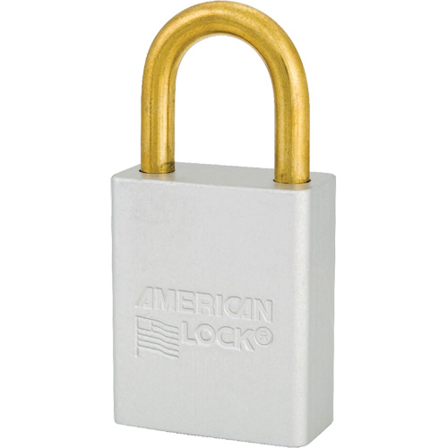 Cadenas de s&eacute;curit&eacute; American Lock, Transparent, Cl&eacute;s identiques, Aluminium, Largeur de 1-1/2" Canadian Safety Group Inc.