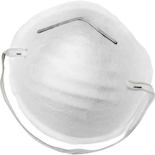 Disposable Nuisance Dust Mask Canadian Safety Group Inc.
