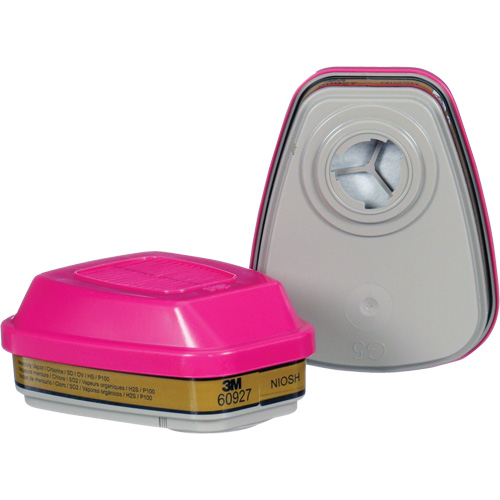 Cartouche, Combinaison cartouche et filtre contre les particules pour gaz/vapeurs, Gaz multiples/Vapeurs/P100 Canadian Safety Group Inc.