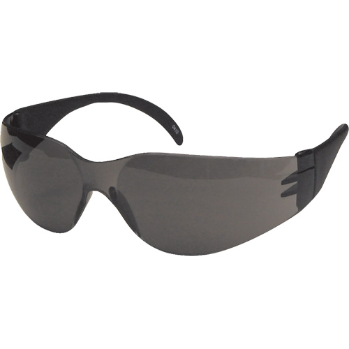 Lunettes de s&eacute;curit&eacute; CeeTec, Lentille Gris, Anti-&eacute;gratignures, R&eacute;pond ou surpasse la norme CSA Z94.3 Canadian Safety Group Inc.