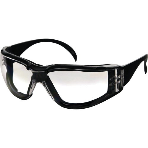 CeeTec DX Safety Glasses, Clear Lens, Anti-Fog/Anti-Scratch, Meets/Exceeds CSA Z94.3 Canadian Safety Group Inc.