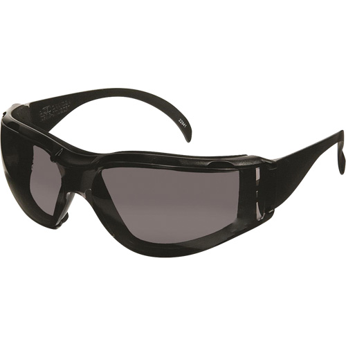 CeeTec DX Safety Glasses, Grey Lens, Anti-Fog/Anti-Scratch, Meets/Exceeds CSA Z94.3 Canadian Safety Group Inc.