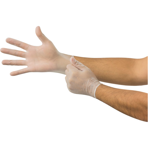 MicroFlex&reg; Disposable Gloves, X-Large, Vinyl, 2.8-mil, Powder-Free, Clear Canadian Safety Group Inc.