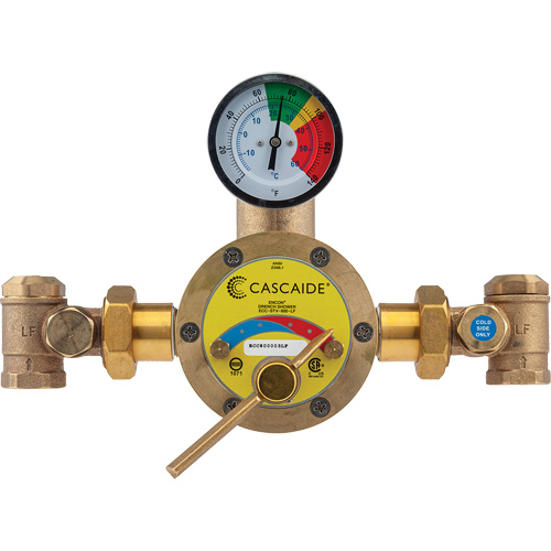 Mixing Valve for Exposed Assembly of Drench or Combination Emergency Shower, 56 GPM Canadian Safety Group Inc.