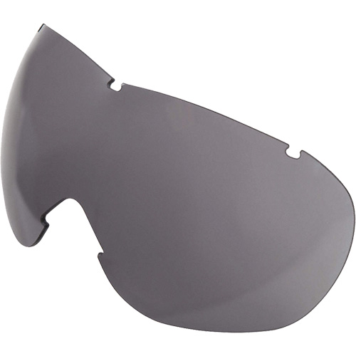 Lentille de rechange pour les lunettes de s&eacute;curit&eacute; &agrave; coques Uvex Sub-Zero, Antibu&eacute;e/anti-&eacute;gratignures, Gris, Uvex Sub-Zero Canadian Safety Group Inc.