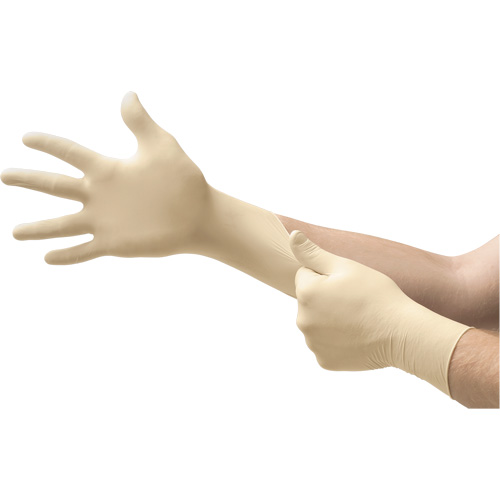 Gants L56 Microflex, Petit, Latex, 5,1 mils, Sans poudre, Naturel Canadian Safety Group Inc.