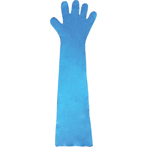 Gants jetables en latex, Gants jetables, Gants jetables en vinyle, Poly&eacute;thyl&egrave;ne, Sans poudre, Bleu Canadian Safety Group Inc.