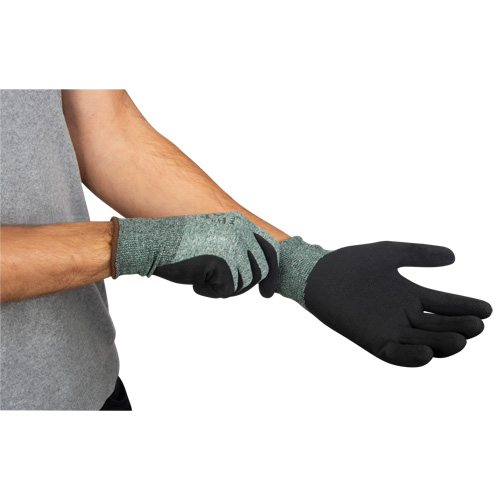 Gants &eacute;cologiques enduits &agrave; prise cr&ecirc;p&eacute;e, 9, R&ecirc;vetement Mousse de latex, Calibre 15, Enveloppe en Nylon/rPET Canadian Safety Group Inc.