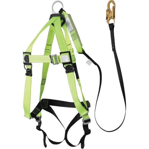 FBH-10000A5440-6 Harnais & longe classe A de 6' avec capacit&eacute; de 220 lb, Combinaison harnais/longe Canadian Safety Group Inc.