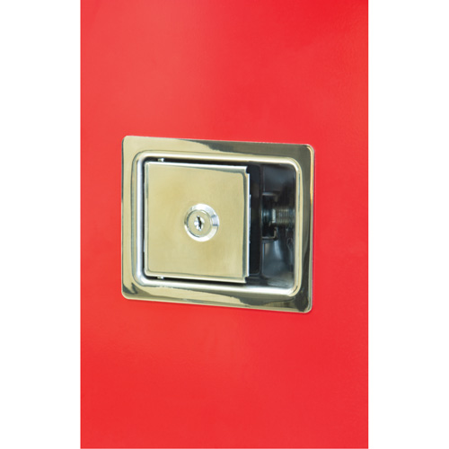 Heavy-Duty Outdoor Fire Extinguisher Cabinet, 14" W x 28" H x 10" D Canadian Safety Group Inc.