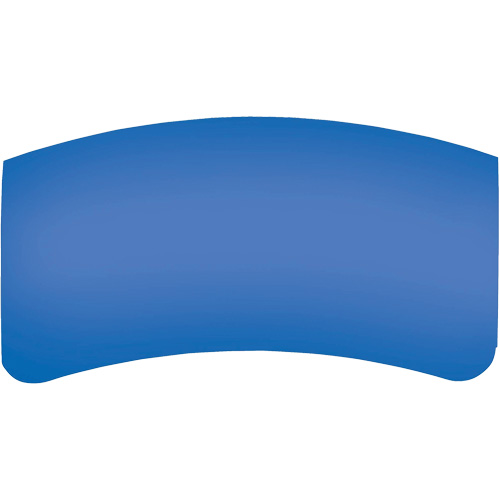 Bullard GenVX PETG Outer Lens Canadian Safety Group Inc.