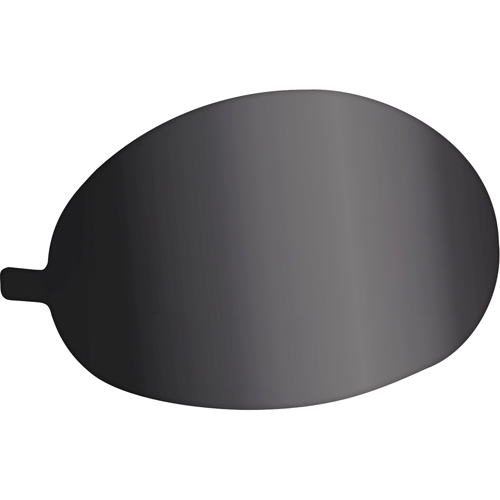 Tinted Lens Covers Canadian Safety Group Inc.