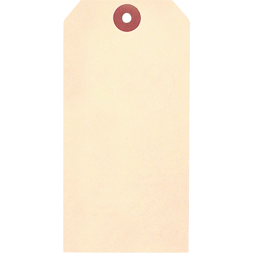 Manila Blank Tags, Cardstock, 2-5/8" W x 5-1/4" H Canadian Safety Group Inc.
