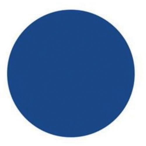 Round Write-On Labels, Circle, 3" L x 3" W, Blue Canadian Safety Group Inc.