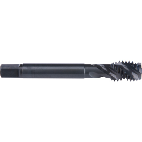 Taraud &agrave; cannelure en spirale 45°, Acier rapide au cobalt, Filet de 3/4"-10, 4-1/4" l Canadian Safety Group Inc.