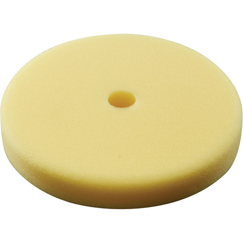 Tampon &agrave; polir, 7" dia. Canadian Safety Group Inc.