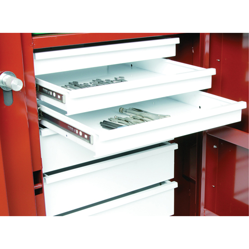 &eacute;tabli roulant, 49-7/8" la x 40-5/8" h x 26-7/8" p, Capacit&eacute; de 24,6 pi³ Canadian Safety Group Inc.