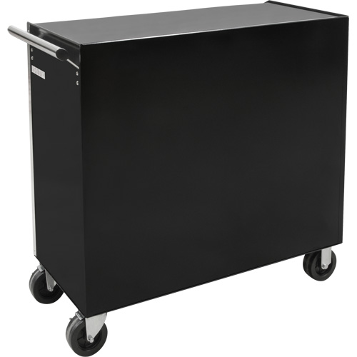 Chariot &agrave; outils industriel, 11 tiroirs, 41" la x 18-3/4" p x 39-1/3" h, Noir Canadian Safety Group Inc.