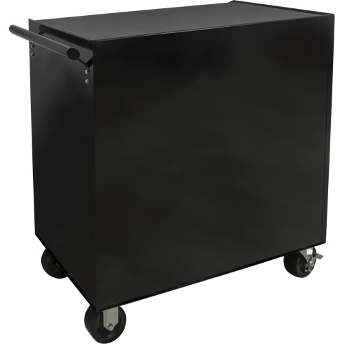 Industrial Tool Cart, 6 Drawers, 39" W x 20-4/5" D x 38-1/2" H, Black Canadian Safety Group Inc.