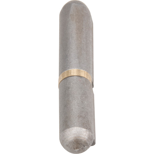 Charni&egrave;re &agrave; souder, 0,315" dia. x 1,575" lo, Acier doux a/goupille fixe en acier Canadian Safety Group Inc.