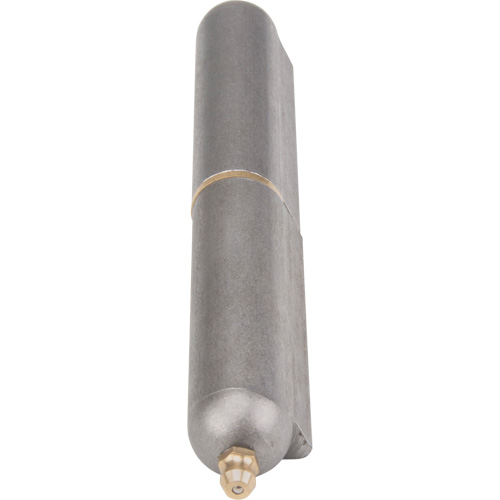Weld-On Hinge, 0.787" Dia. x 5.906" L, Mild Steel w/Fixed Steel Pin Canadian Safety Group Inc.
