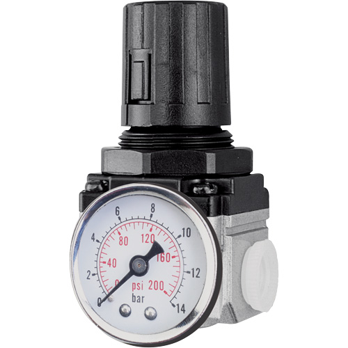 R&eacute;gulateur de d&eacute;bit d'air (manom&egrave;tre compris), 1/4" NPT, PSI max. de 220 PSI, Modulaire Canadian Safety Group Inc.