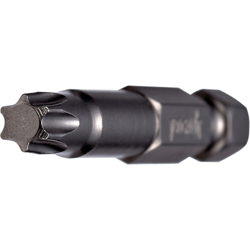 Embout pour outil &eacute;lectrique, Torx, Embout T-25, Prise 1/4", Longueur 2" Canadian Safety Group Inc.