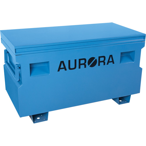 Coffre &agrave; outils de chantier, 48" x 24" x 27-3/5", Acier, Bleu Canadian Safety Group Inc.