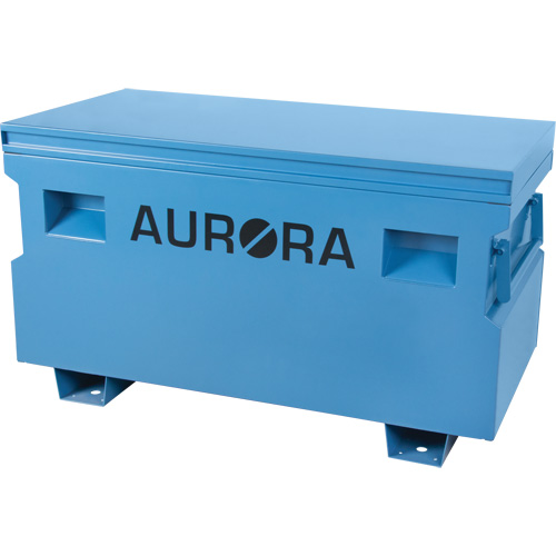 Coffre &agrave; outils de chantier, 48" x 24" x 27-3/5", Acier, Bleu Canadian Safety Group Inc.