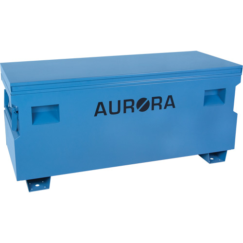 Coffre &agrave; outils de chantier, 60" x 24" x 27-1/2", Acier, Bleu Canadian Safety Group Inc.