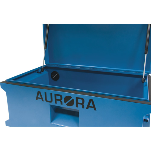 Jobsite Tool Box, 33" x 20-3/10" x 18-3/10", Steel, Blue Canadian Safety Group Inc.