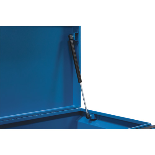 Jobsite Tool Box, 33" x 20-3/10" x 18-3/10", Steel, Blue Canadian Safety Group Inc.