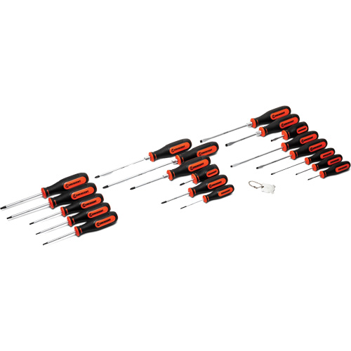 Jeu de tournevis &agrave; double mat&eacute;riaux, 20 mcx. Canadian Safety Group Inc.