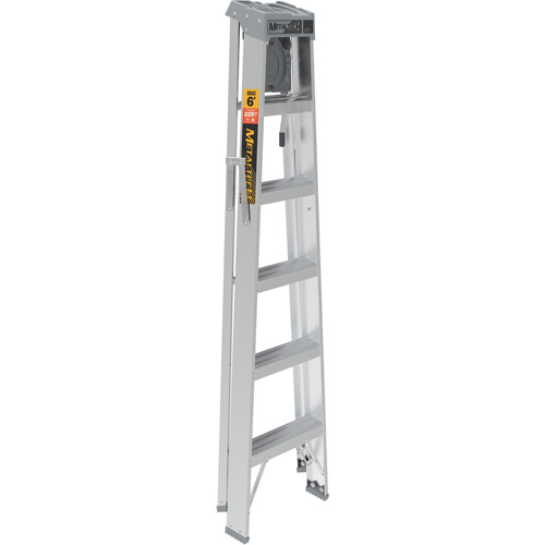 Step Ladder with Paint Tray, 6', Aluminum, 225 lbs. Capacity, Type 2 Canadian Safety Group Inc.