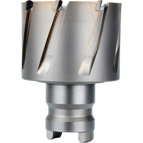 Fraise avec tenon &agrave; changement rapide Drive Hawg, Diam&egrave;tre de 2", Acier, Profondeur de la coupe de 1" Canadian Safety Group Inc.