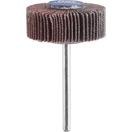 3/8" Flapwheel Sanding Bit - 120 Grit Canadian Safety Group Inc.