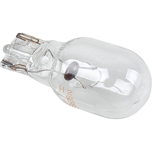 Ampoule de rechange - 9 W au tungst&egrave;ne Canadian Safety Group Inc.