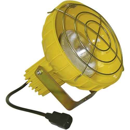 Dock Lights - Accessories Canadian Safety Group Inc.