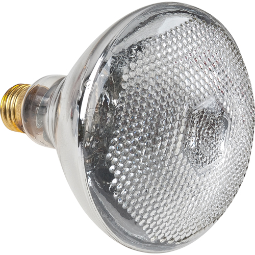 Economy Line Incandescent Lamps Canadian Safety Group Inc.