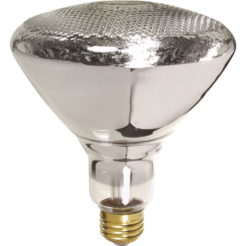 Economy Line Incandescent Lamps Canadian Safety Group Inc.