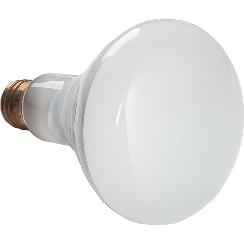 Economy Line Incandescent Lamps Canadian Safety Group Inc.