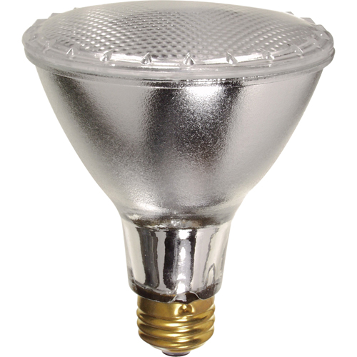Economy Line Lamps Canadian Safety Group Inc.
