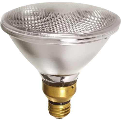 Economy Line Lamps Canadian Safety Group Inc.