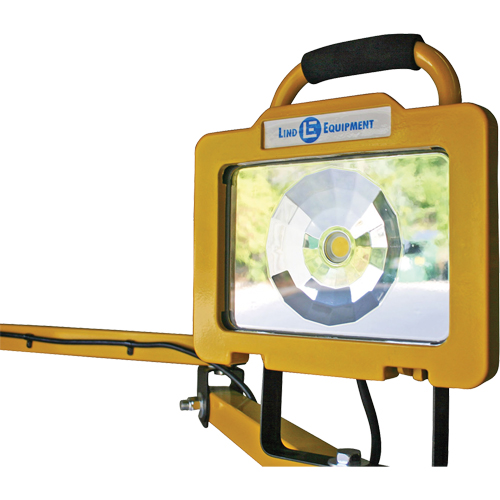 Heavy-Duty Dock Light, 40" Arm, 38 W, LED Lamp, Metal Canadian Safety Group Inc.
