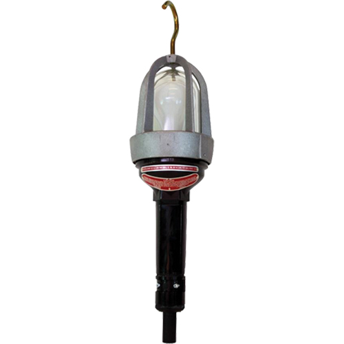 Baladeuses pour emplacements dangereux, DEL, 20 W, 2400 Lumens Canadian Safety Group Inc.