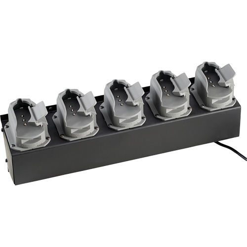 Chargeur de batteries de lampe de poche Survivor X Canadian Safety Group Inc.