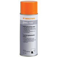 Vaporisateur galvanisant brillant ZINC-100, Canette a&eacute;rosol Canadian Safety Group Inc.
