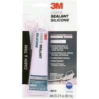 Marine Grade Silicone Sealant, 3 oz., Tube, Clear Canadian Safety Group Inc.